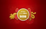 Happy Spring Festival 2025 from Chimera!